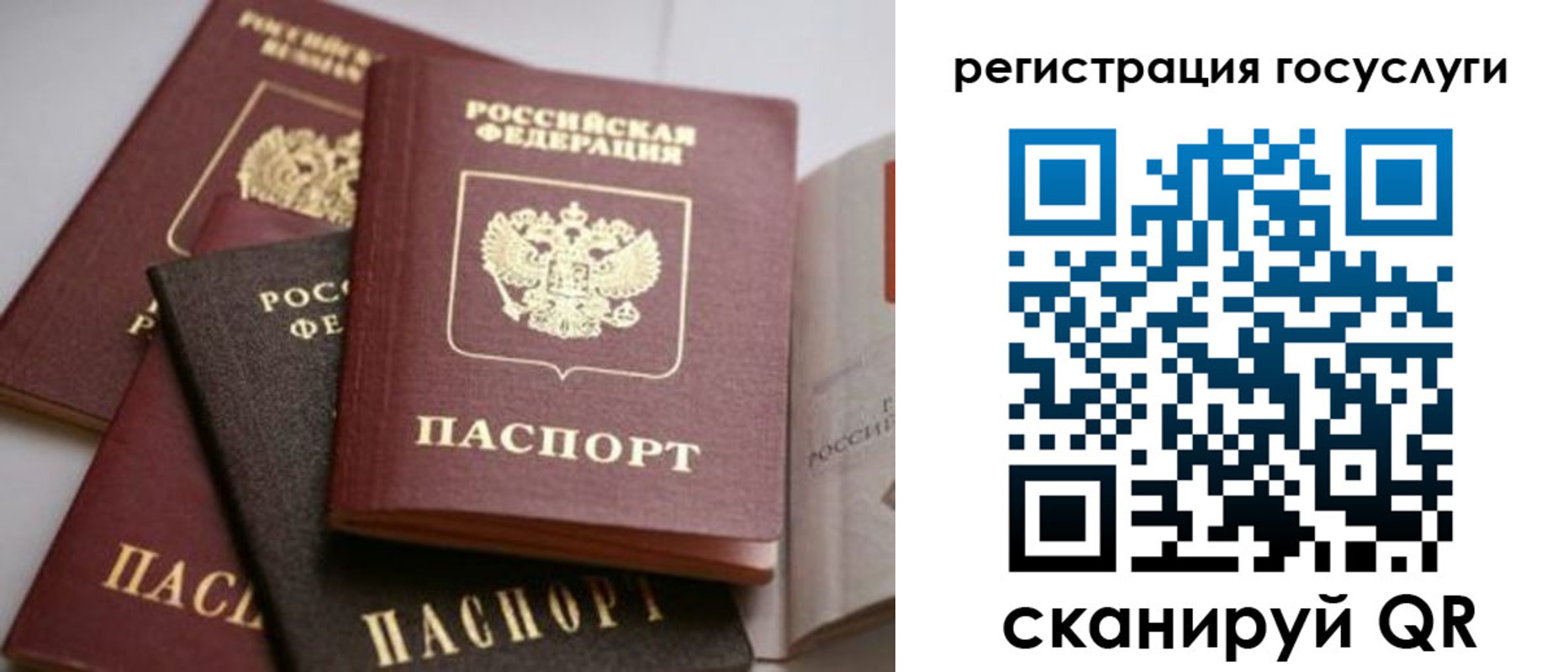 пропишу в квартире в Новоалтайске